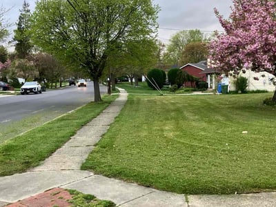 Lawn Care service in Cherry Hill, 08002