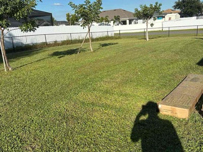 Lawn Care service in Sudbury, 01776