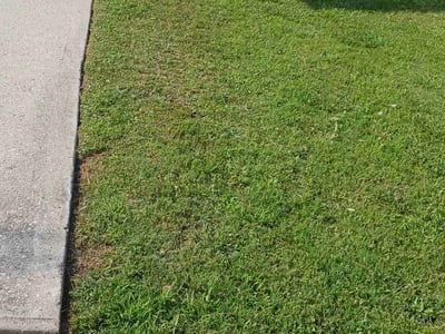 Lawn Care service in Andover, 01810
