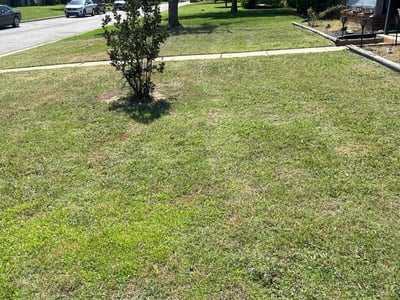 Lawn Care service in Marlborough, 01752
