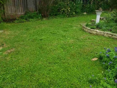 Lawn Care service in Wayland, 01778
