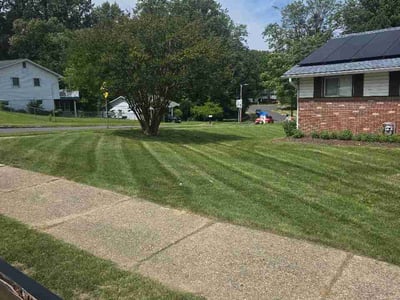 Lawn Care service in Glen Burnie, 21061