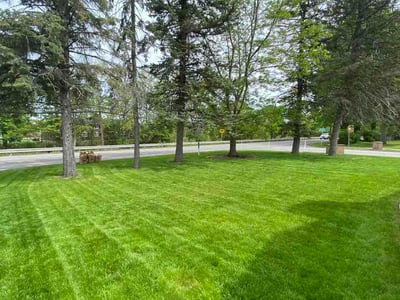 Lawn Care service in Tonawanda, 14150