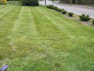 Lawn Care service in Wareham, 02571