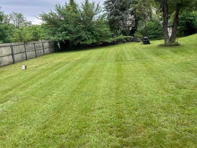 Lawn Care service in Severn, 21144