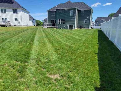 Lawn Care service in Bridgewater, 02324
