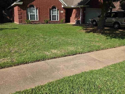 Lawn Care service in Bryan, 77803