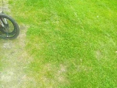 Lawn Care service in Old Orchard Beach, 04064