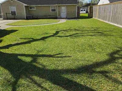 Lawn Care service in Harlingen, 78550