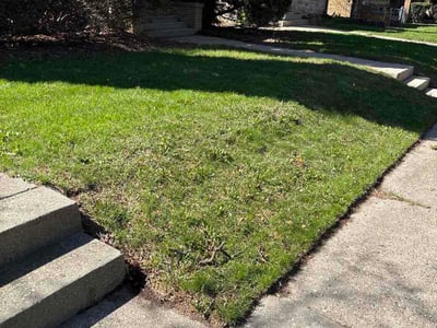 Lawn Care service in Hartland, 53029