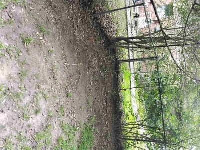 Lawn Care service in Shreveport, 71107