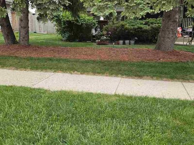 Lawn Care service in Greendale, 53129