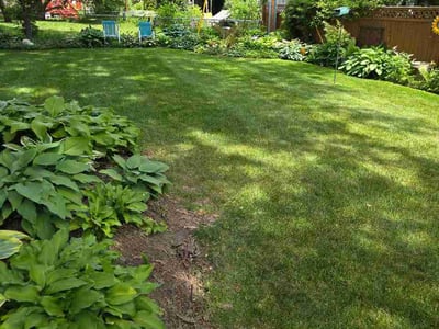 Lawn Care service in Middleton, 53562
