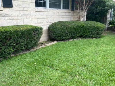 Lawn Care service in Coppell, 75019