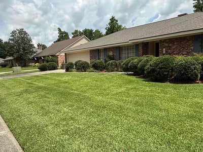 Lawn Care service in Lafayette, 70501