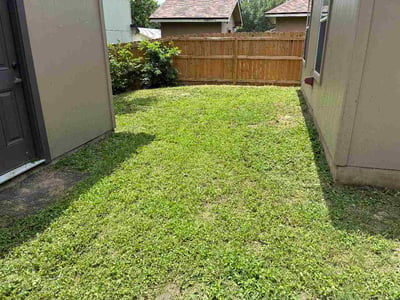 Lawn Care service in Elgin, 78621