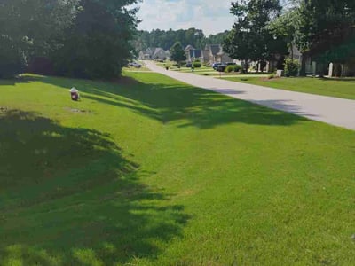 Lawn Care service in Youngsville, 27596