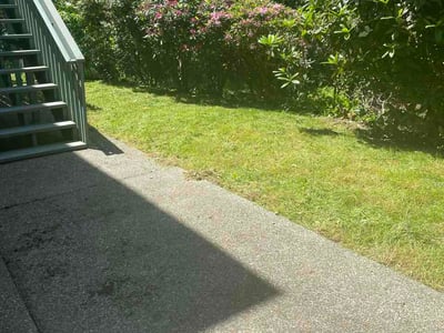 Lawn Care service in Renton, 98057