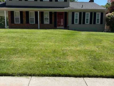 Lawn Care service in Burke, 22015