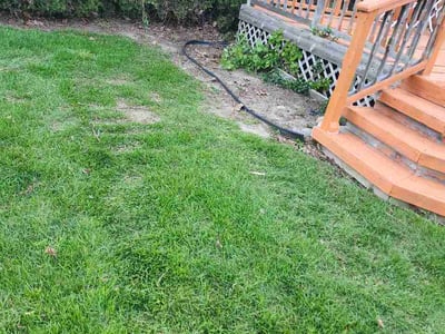 Lawn Care service in Brighton, 48116
