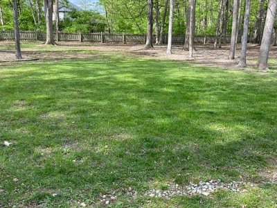 Lawn Care service in Marion County, 46208