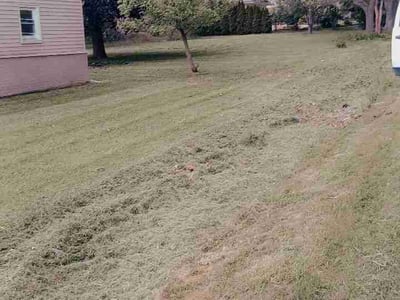 Lawn Care service in Fowlerville, 48836