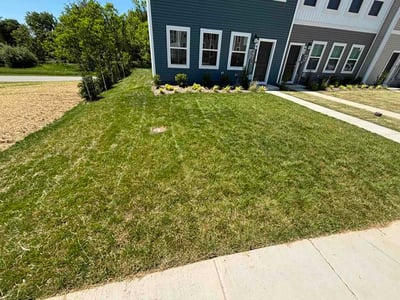 Lawn Care service in Merrifield, 22042