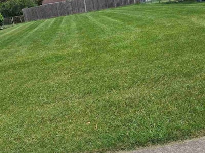 Lawn Care service in Carpentersville, 60110