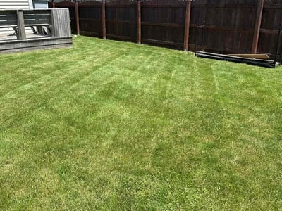 Lawn Care service in Indianapolis, 46204