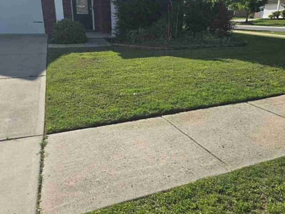 Lawn Care service in Lake Wylie, 29710
