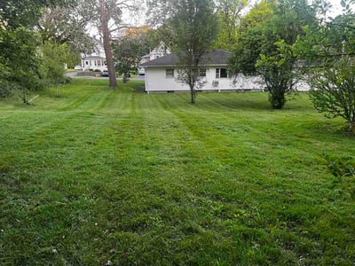 Lawn Care service in Henrietta, 14467