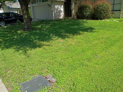 Lawn Care service in Palmdale, 93550