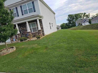 Lawn Care service in Laurens, 29360