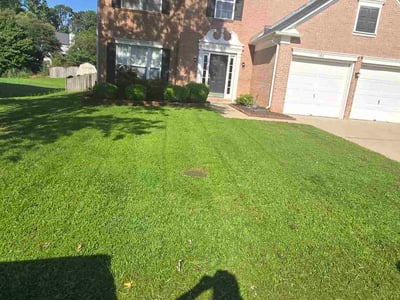 Lawn Care service in Laurens, 29360