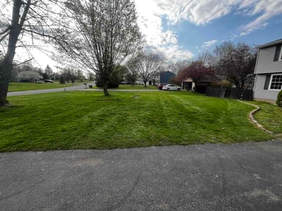 Lawn Care service in Fairport, 14450