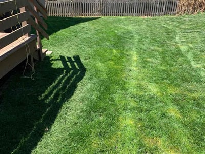 Lawn Care service in Dover, 03820
