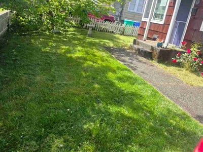 Lawn Care service in Lake Oswego, 97034