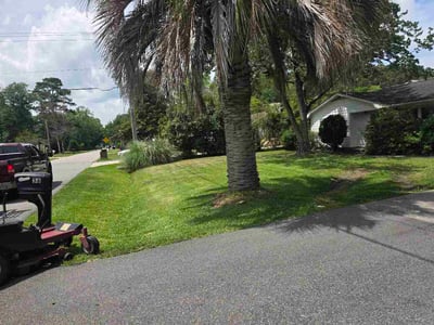 Lawn Care service in Conway, 29526