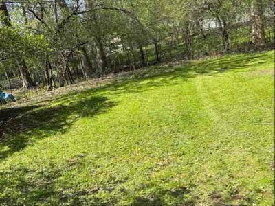 Lawn Care service in Irondeqoit, 14622