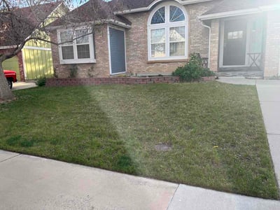 Lawn Care service in Covina, 91723