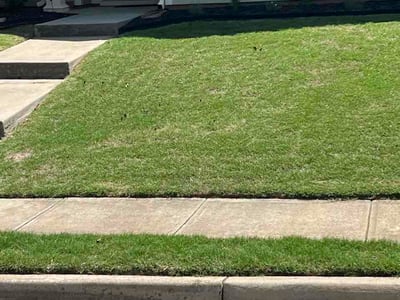 Lawn Care service in Greer, 29651