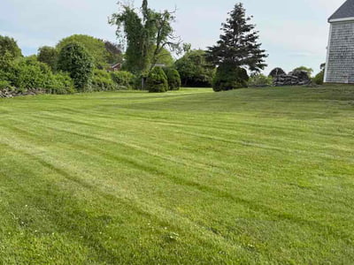 Lawn Care service in Middletown, 02842