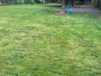 Lawn Care service in Camas, 98607