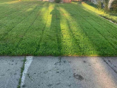Lawn Care service in South Lake Tahoe, 96150