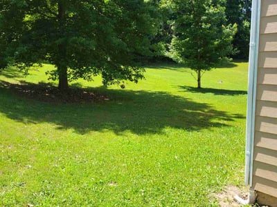 Lawn Care service in Lithonia, 30058