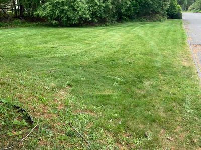 Lawn Care service in Taunton, 02780