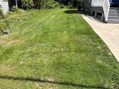 Lawn Care service in Nanticoke, 18634