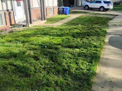 Lawn Care service in North Kingstown, 02852