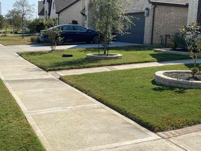 Lawn Care service in Katy, 77493