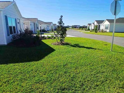 Lawn Care service in Glendale, 85301